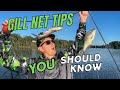 How to use a gill net for fishing bait