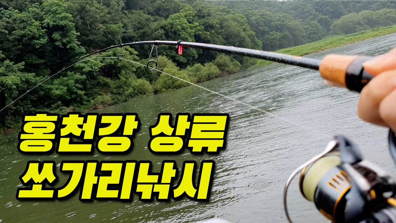 [20250628] 홍천강 상류 쏘가리낚시