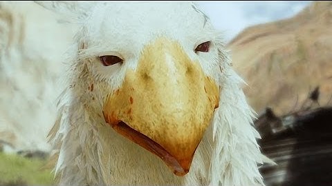 Lightning Returns: FFXIII - Wildlands Gameplay Trailer