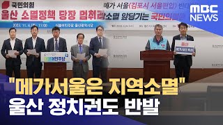 &quot;메가서울은 지역소멸&quot; 울산 정치권도…