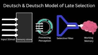 SELECTIVE ATTENTION THEORIES EXPLAINED - The Brain on Why We Listen to What We Want To