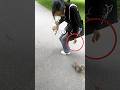 This squirrel asked the girl for food. #shorts 🐿️