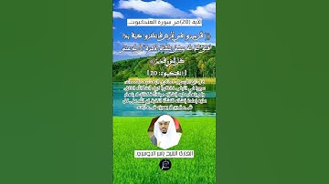الآية (20)من سورة العنكبوت.... القارئ الشيخ ياسر الدوسري .