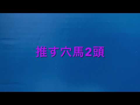 【競馬予想】 新潟大賞典 2021 予想 京都新聞杯