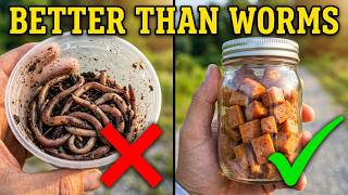 BEST Summertime BAITS For PANFISH | How To | FISHING With SPAM #thenextcast