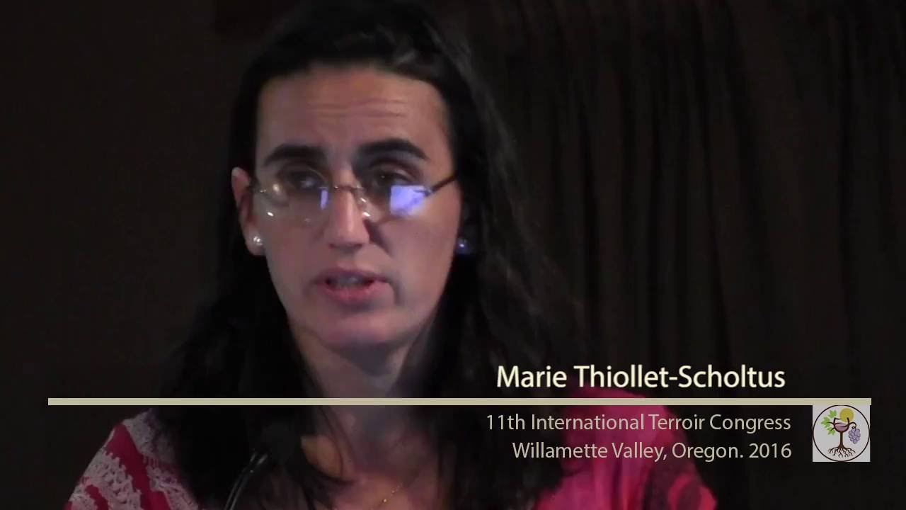 Effects of Environmental Factors and Vineyard Practices in Flora Dynamic in Vineyards