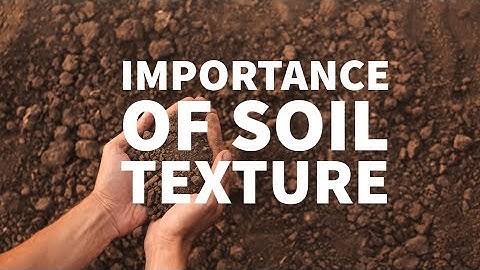IMPORTANCE OF SOIL TEXTURE