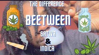Sativa/Indica Whats The Difference???