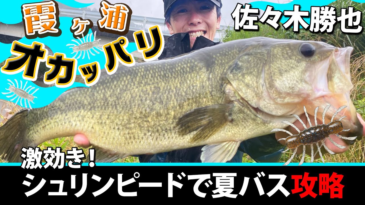 佐々木勝也がシュリンピードでバス攻略in霞ヶ浦水系