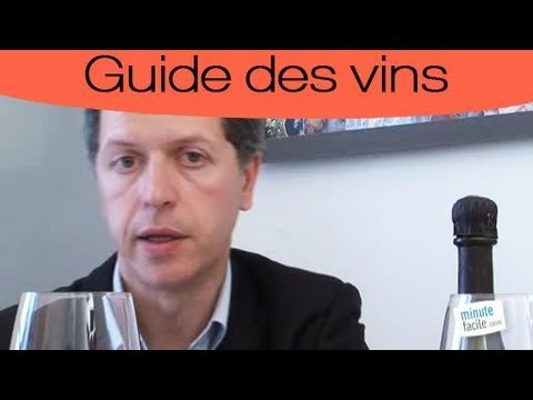 Vidéo: Différence Entre Le Marron Et La Bourgogne