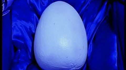 Grant Lee Buffalo - Mockingbirds (Official Music Video)