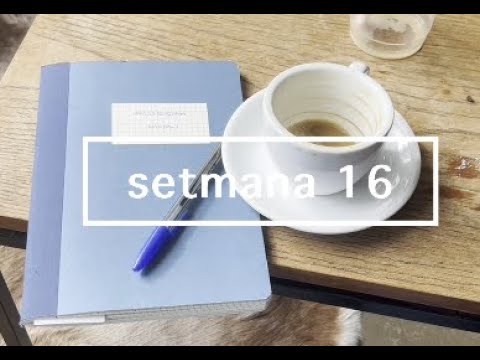 erasmus a amsterdam: setmana 16