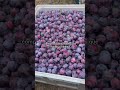 Antioxidant Power Antioxidant Power