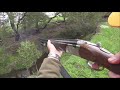 2019 Ultimate Dachshunds and Beretta Silver Pigeon 12G Hunting Compilation