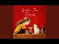 kitten on the counter