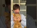 愛を受けて育った犬猫の末路・・・w#shorts