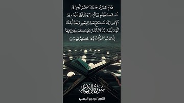 سورة الأنعام | Al-An‘ām | آية 128 | الشيخ وديع اليمني
