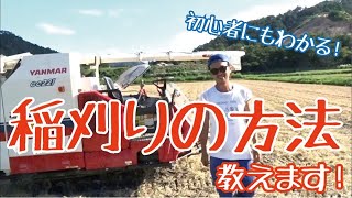 稲刈り初心者必見！コンバインでの刈り取り方法教えます！（rice is comedy）