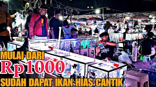 MULAI DARI Rp1000,- BISA DAPAT IKAN HIAS CANTIK !!! UPDATE HARGA IKAN HIAS DI JATINEGARA TERBARU