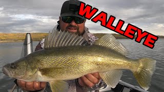 Pulling Cranks for Shallow Water Walleye | Fall Fishing