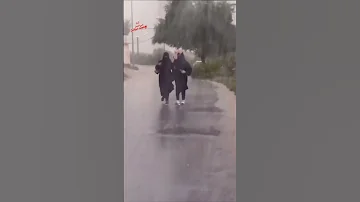 مطر مطر وظبى بينه الفنان ايوب طارش حالات واتساب 