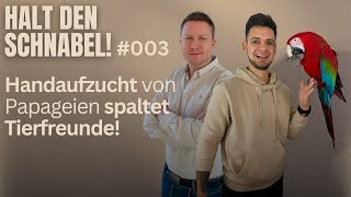 Handaufzucht von Papageien spaltet Tierfreunde! - Halt den Schnabel! #3 by YOUR PARROT 994 views 3 months ago 1 hour, 4 minutes