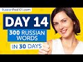 Day 14: 140/300 | Learn 300 Russian Words in 30 Days Challenge