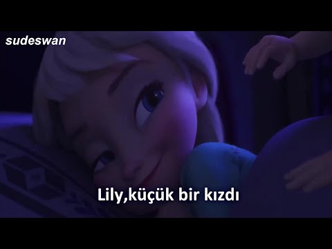 Lily - Alan Walker - K 391 & Emelie Hollow/Türkçe Çeviri