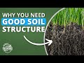 Building Structure | Soil Food Web School