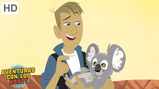 Aventuras con los Kratt | Globo de koala | Episodio Completo | Temporada 1
