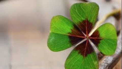 94 % Percent Level 16 New Things Found in a tube & a table