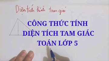 công thức tính diện tích tam giác  toán lớp 5