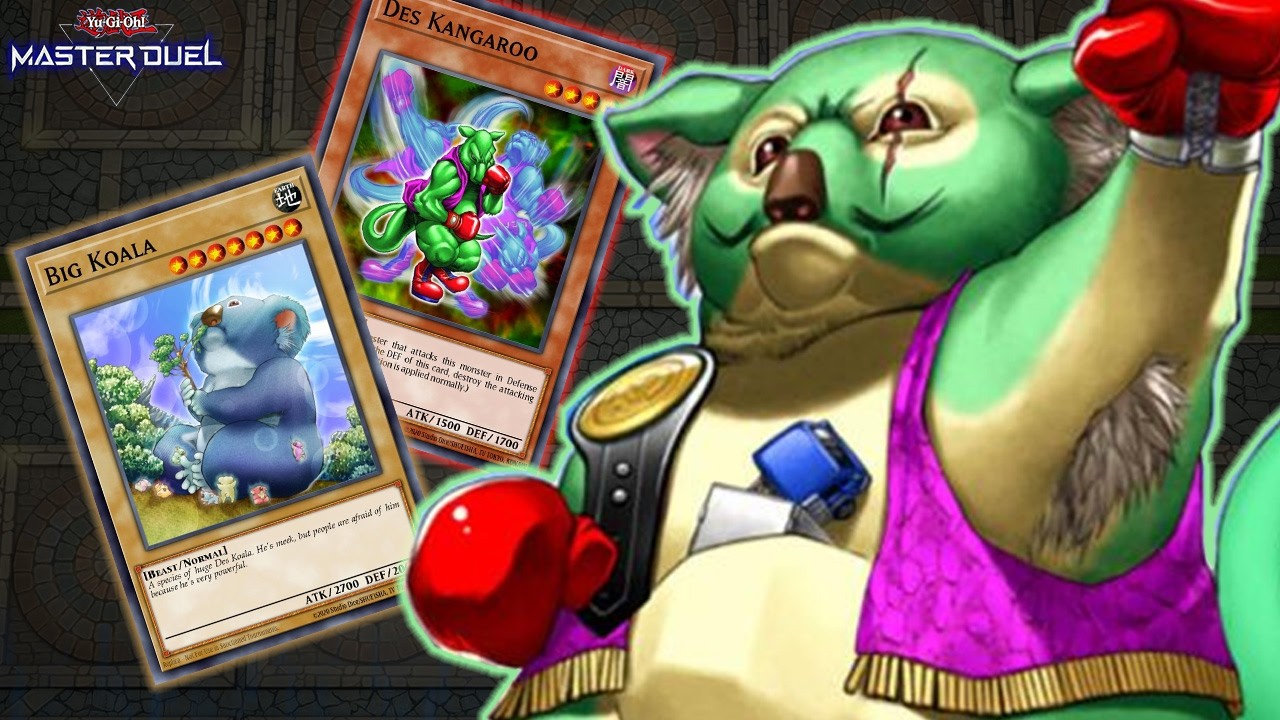 수목성 유대류들 중 가장 거대한 동물로, 몸길이는 60~85cm, 무게는 4~15kg 정도 나간다.털의 색깔은 밝은 회색, 갈색이며, 배털은 희끄무레하고, 엉덩이에는 흰 얼룩이 있