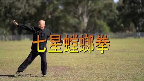 Learn Kung Fu 2021 - Seven Star Praying Mantis Kung Fu-White Ape Steals a Peach