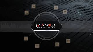 Flexmark One Platform INTRO - How to speed up software development for Microsoft Windows screenshot 4