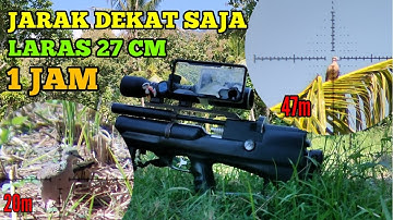 BERBURU TEKUKUR 1 JAM || JARAK DEKAT