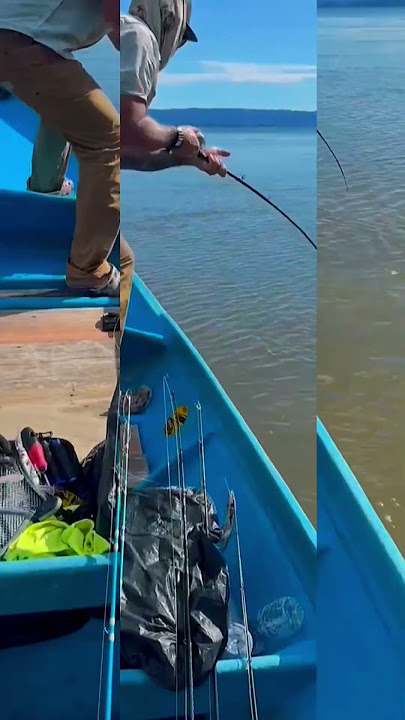 Fangbait 140DR - Built to tame Papuan Black Bass