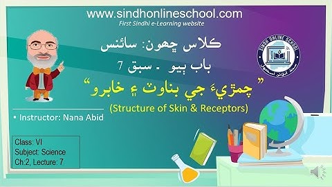 Sense Organs (Skin)| Science Class 6| Chapter 2| Lecture 7| by Nana Abid| Sindh Online School