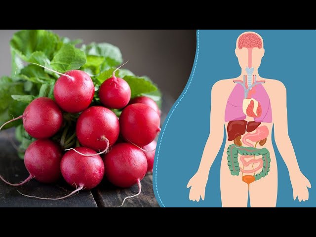 Asa Akira porno yulduz fotosuratlar