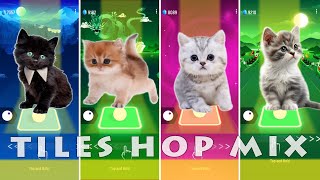 CUTE CATS WEDNESDAY BLOODY MARY vs BTS BUTTER vs BLACKPINK LISA MONEY CAT COLDPLAY X BTS MY UNIVERSE