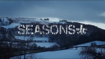 Landscape Skateboards - Seasons