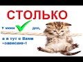 № 676  СТОЛЬКО + СКОЛЬКО / уроки русского