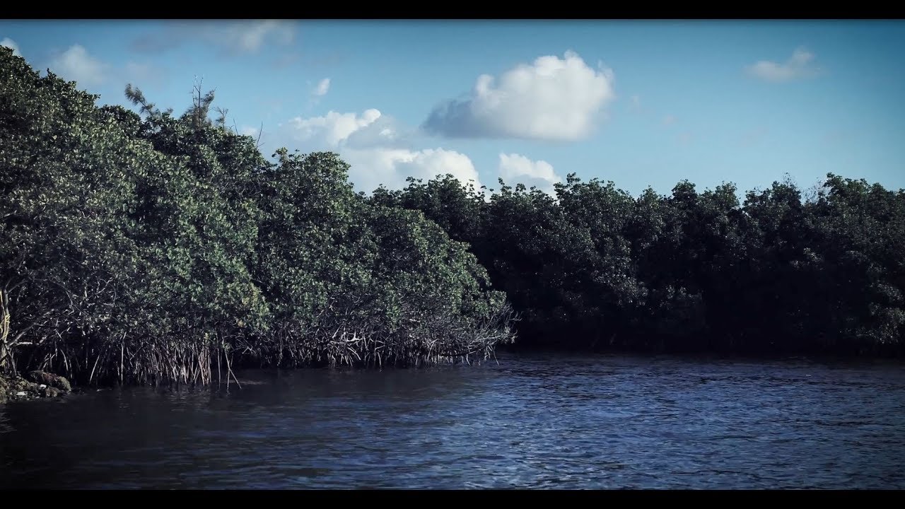florida power light number Pristine Biscayne Bay at Turkey Point