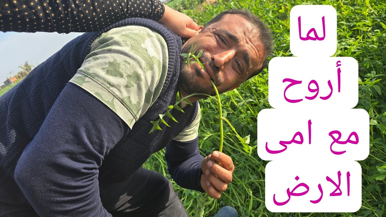 شغلي مع امى