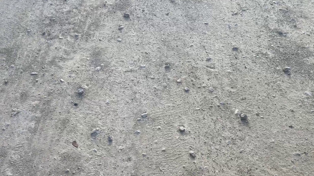 camera iphone 8 plus apk Going out to eat at happy cow