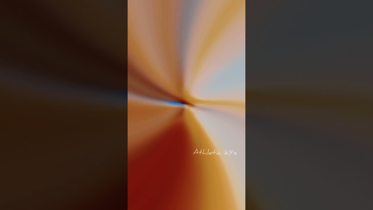 pitbull status video | cute  v/s 😈 | pitbullkerala | athletic k9's