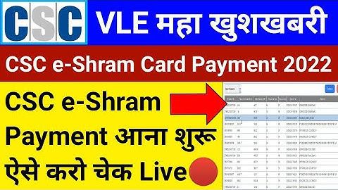 CSC VLE महा खुशखबरी | e-Shram Card Payment Update | CSC Payment Release | CSC New Update | CSC News