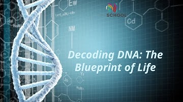 Decoding DNA: The Blueprint of Life