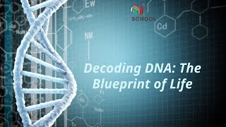 Decoding DNA: The Blueprint of Life