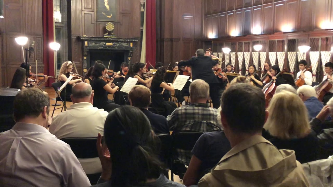 New York Music Festival 2019 Orchestra 7
